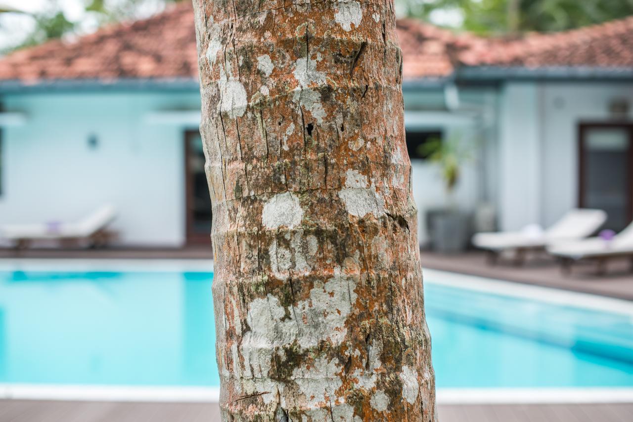 Cattleya Villa Hikkaduwa Exterior photo