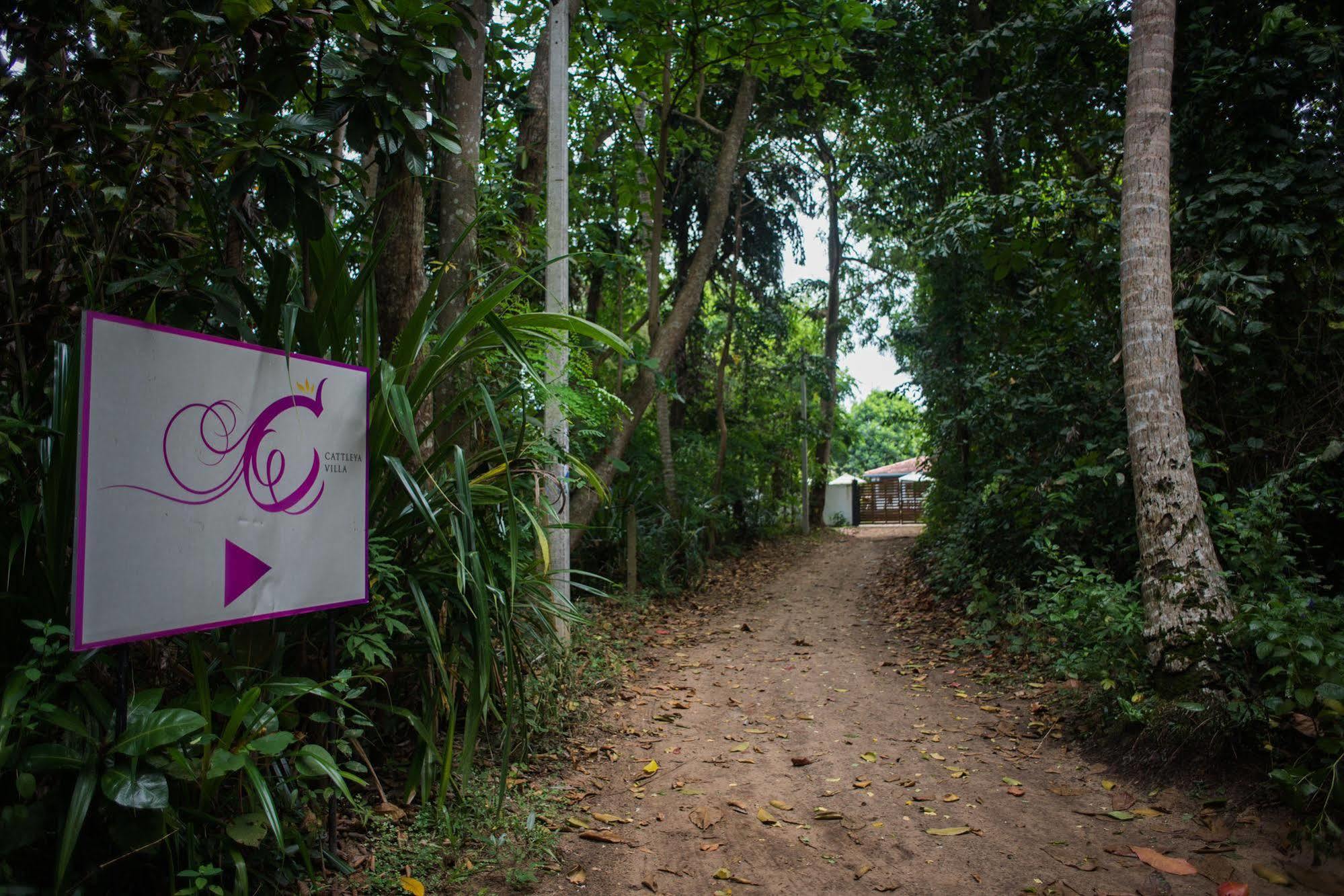 Cattleya Villa Hikkaduwa Exterior photo